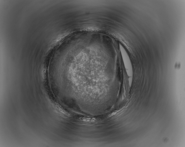 X0000096940355200802221325