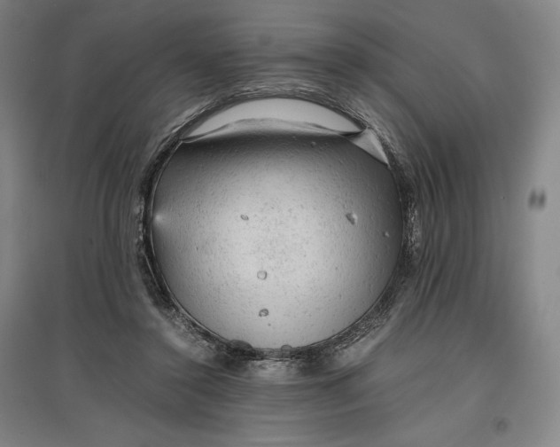 X0000096940356200802221325