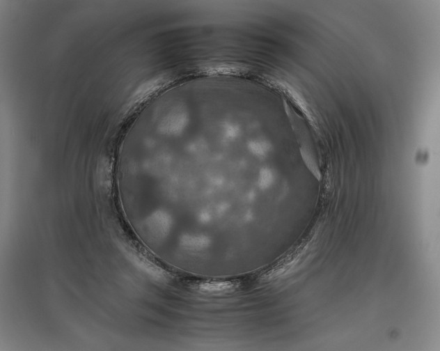 X0000096940357200802221325