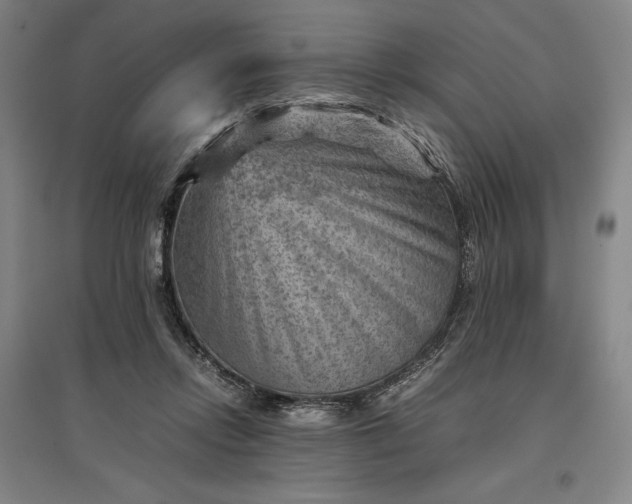 X0000096940358200802221325