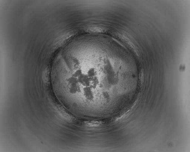 X0000096940359200802221325