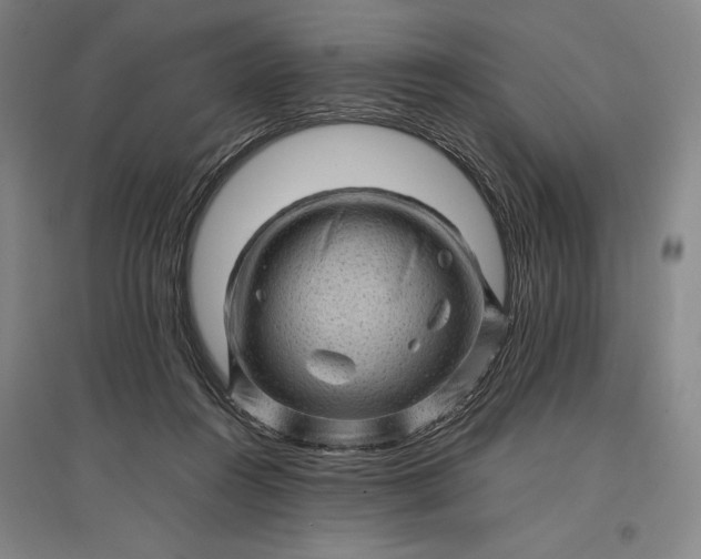 X0000096940360200802221325