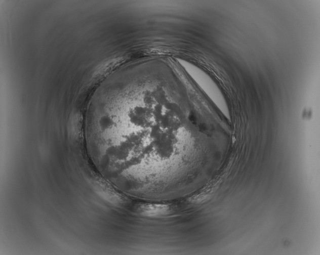 X0000096940361200802221325