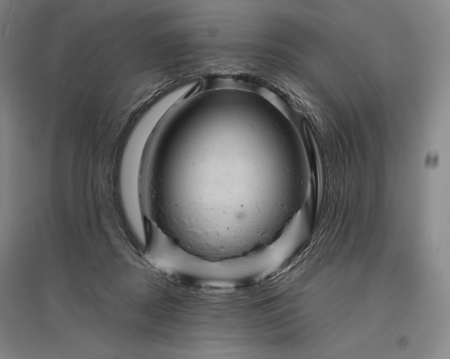 X0000096940362200802221325