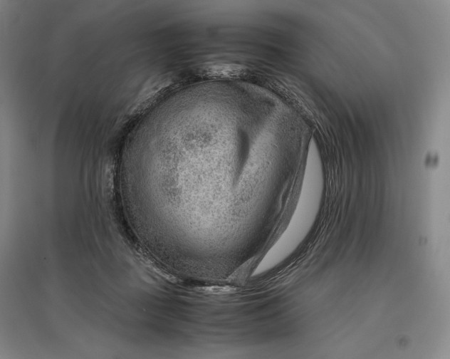 X0000096940363200802221325