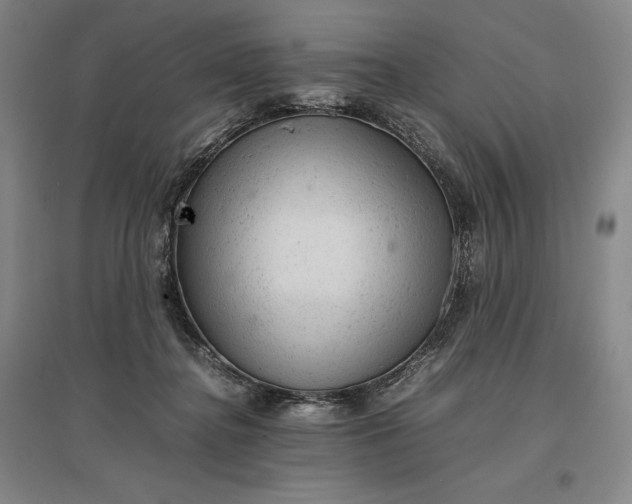 X0000096940364200802221325