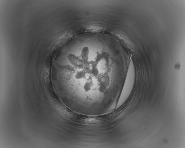 X0000096940365200802221325