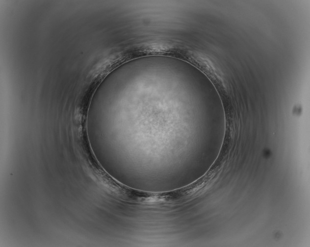 X0000096940366200802221325