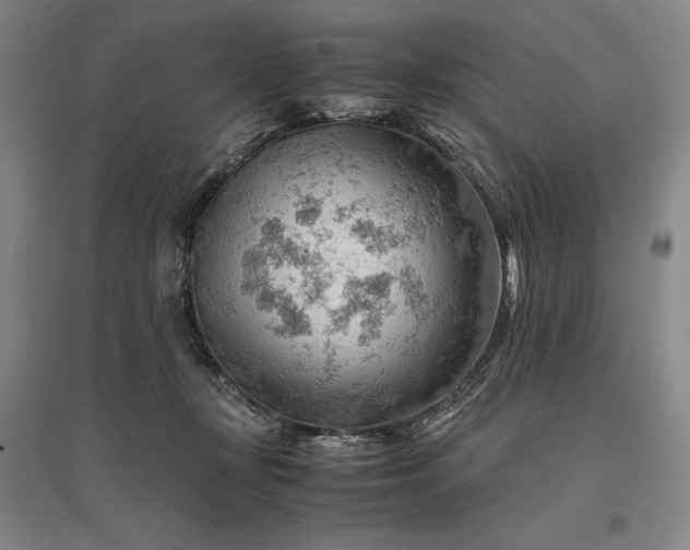 X0000096940367200802221325