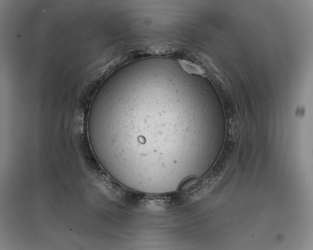 X0000096940368200802221325