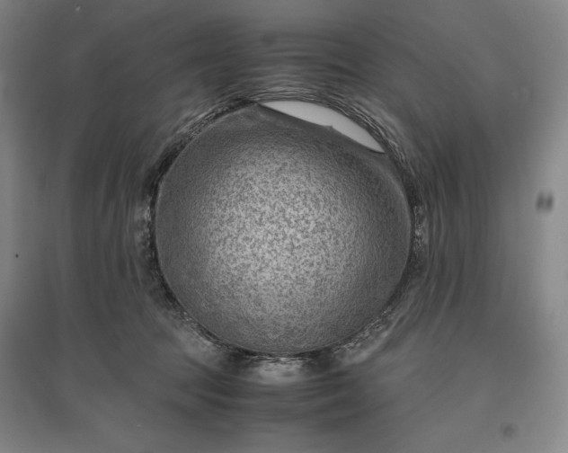 X0000096940369200802221325