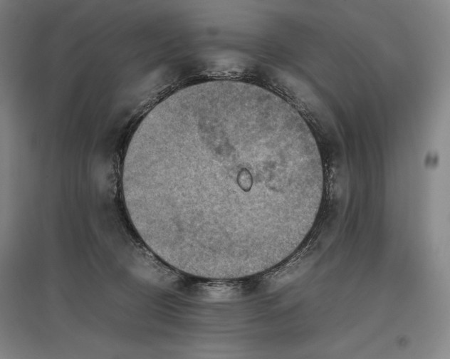 X0000096940370200802221325