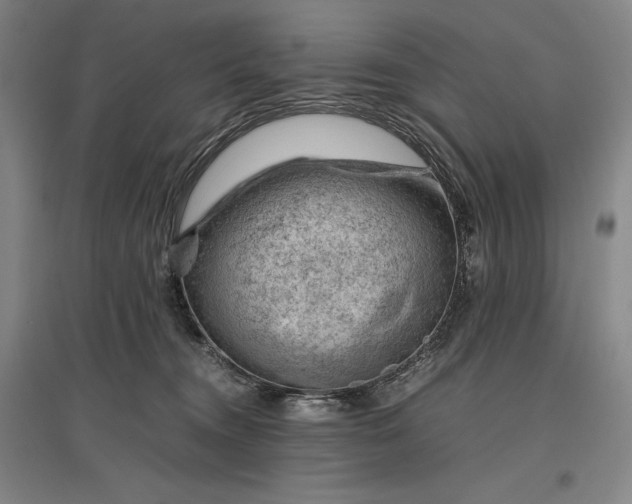 X0000096940372200802221325