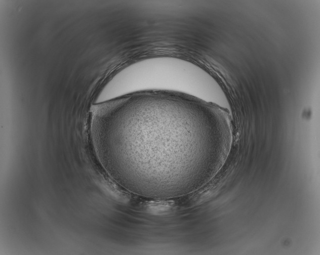 X0000096940373200802221325