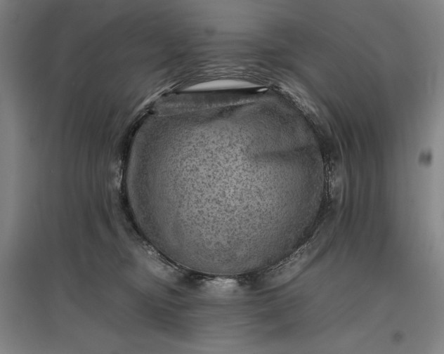 X0000096940374200802221325