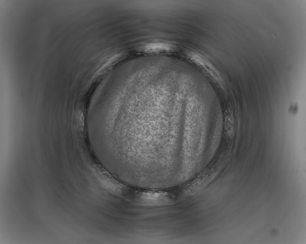 X0000096940375200802221325