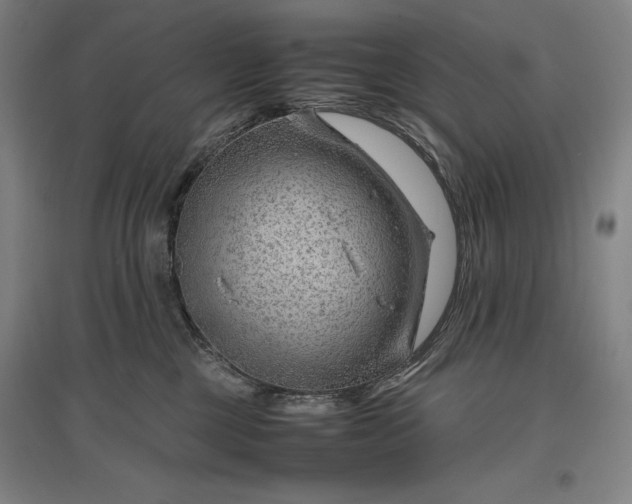 X0000096940377200802221325