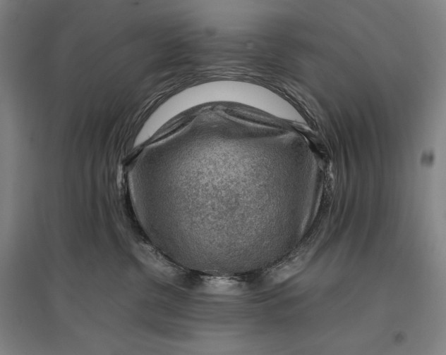 X0000096940380200802221325