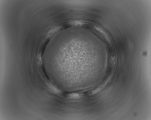 X0000096940381200802221325