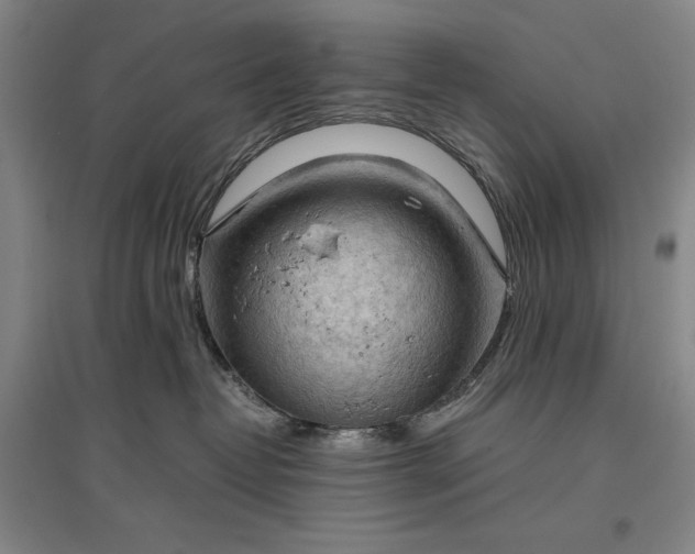 X0000096940382200802221325