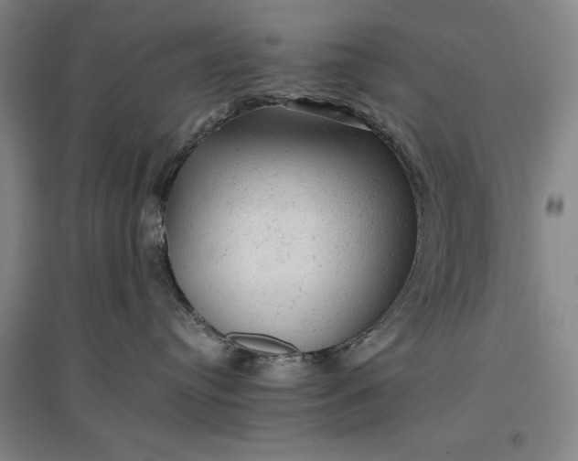 X0000096940384200802221325