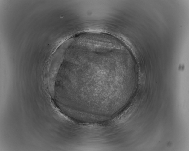 X0000096940385200802221325