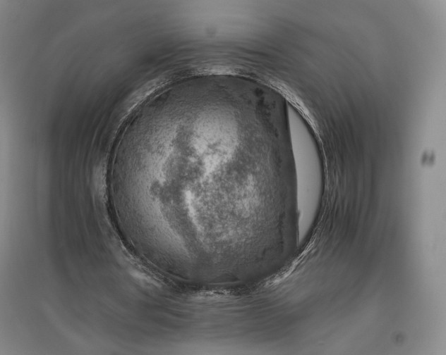 X0000096940386200802221325