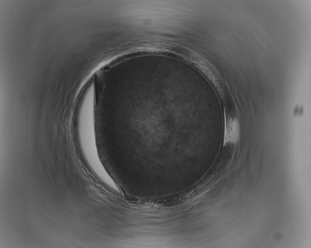 X0000096940387200802221325