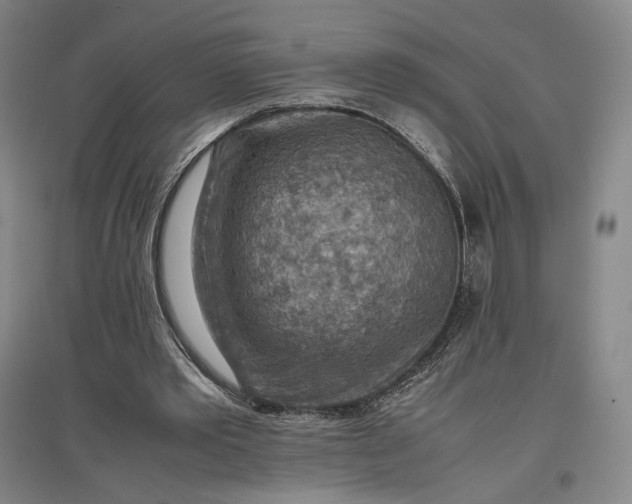 X0000096940389200802221325