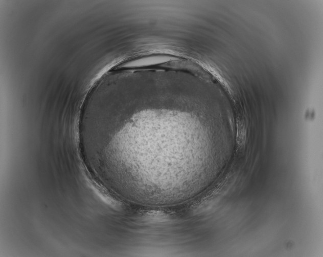 X0000096940390200802221325