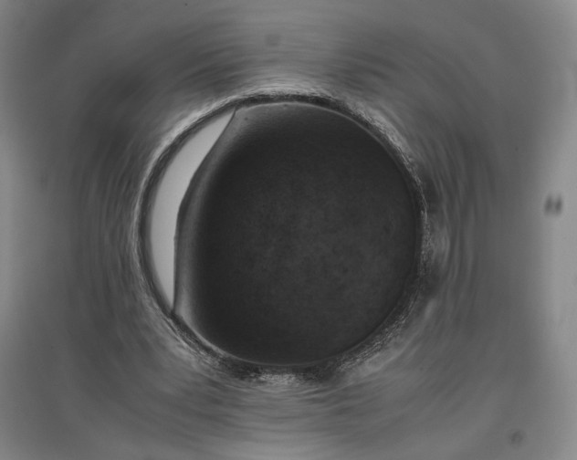 X0000096940391200802221325