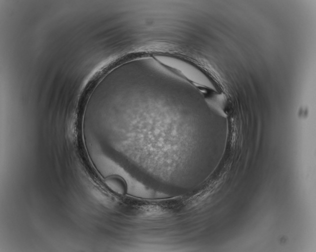 X0000096940392200802221325