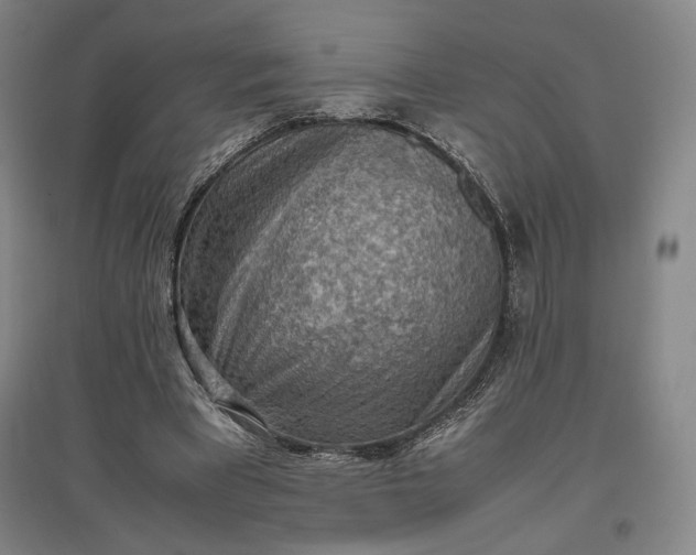 X0000096940393200802221325