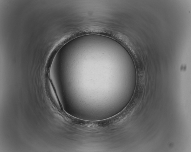 X0000096940395200802221325