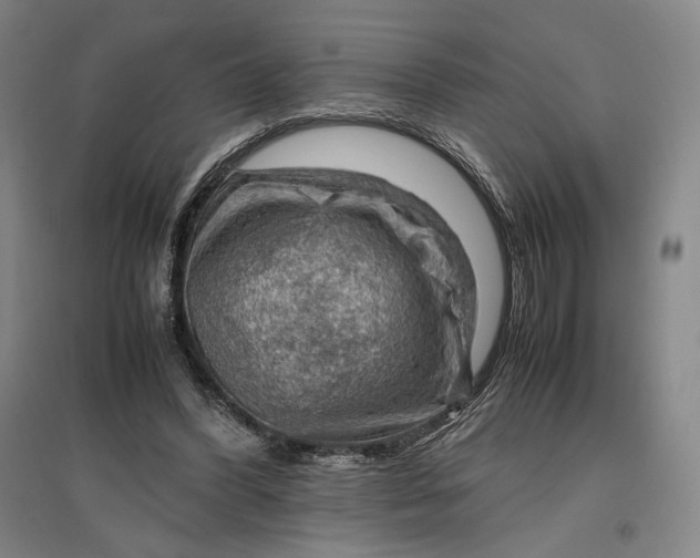 X0000096940396200802221324