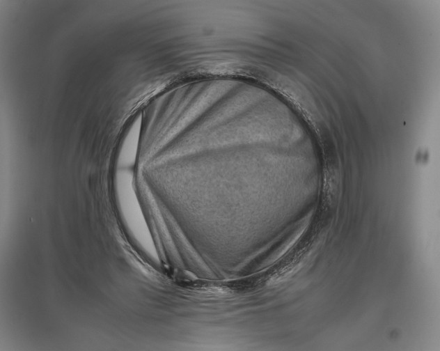 X0000096940397200802221324