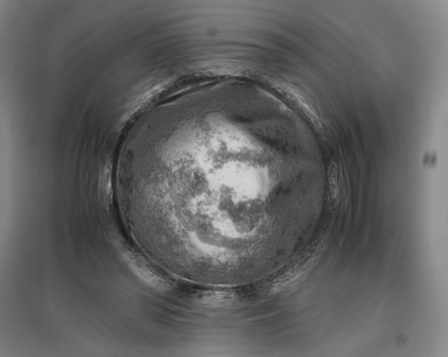 X0000096940398200802221324