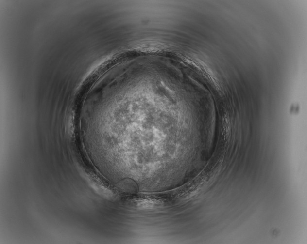 X0000096940400200802221324