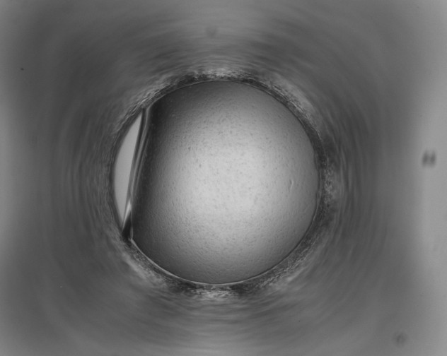 X0000096940401200802221324