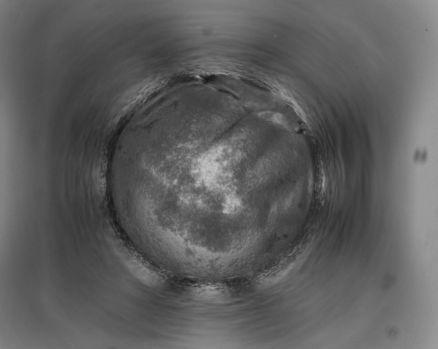 X0000096940402200802221324