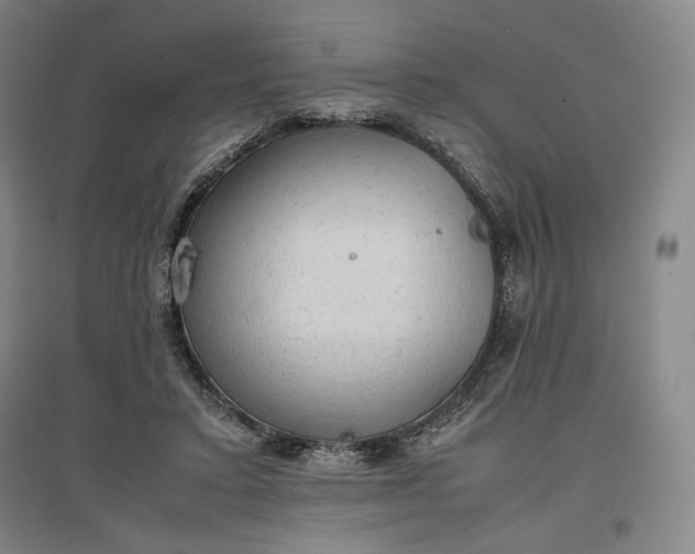 X0000096940403200802221324