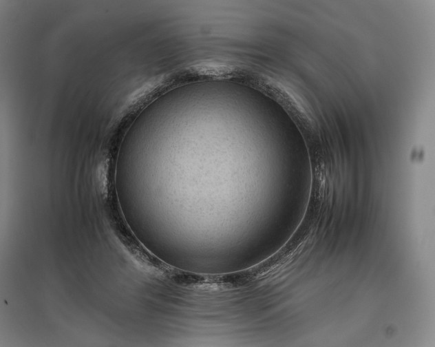 X0000096940404200802221324