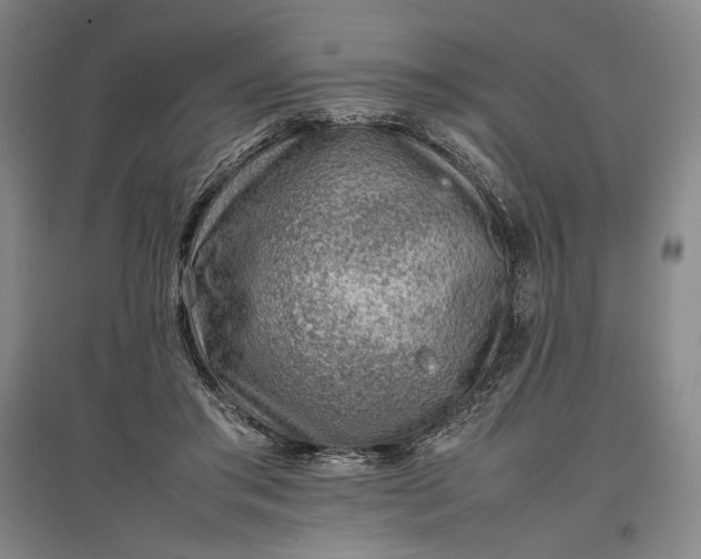 X0000096940405200802221324