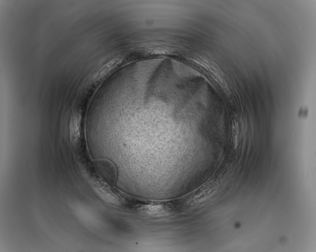 X0000096940406200802221324