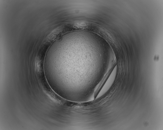 X0000096940408200802221324