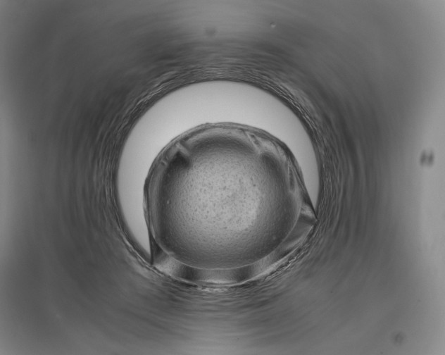 X0000096940409200802221324