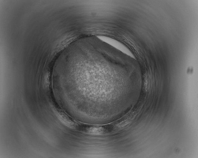 X0000096940410200802221324