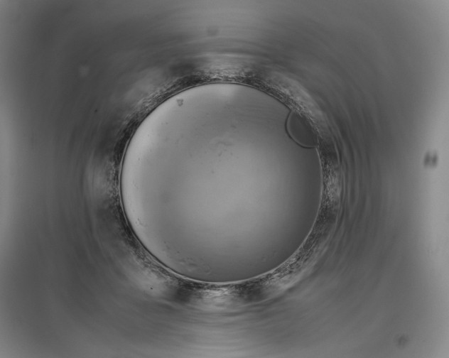 X0000096940411200802221324