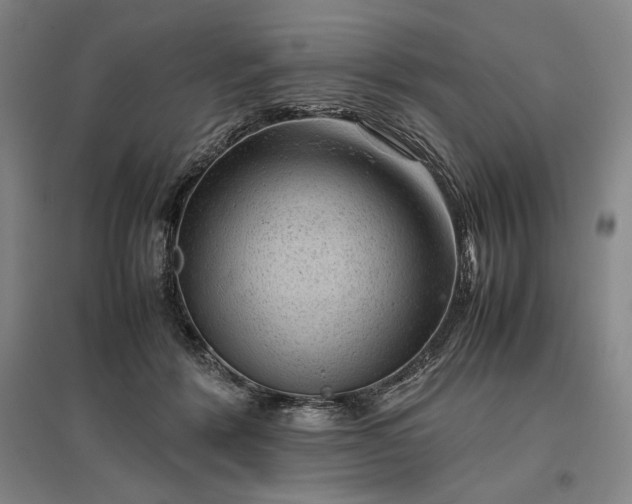 X0000096940412200802221324