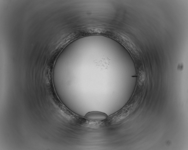 X0000096940414200802221324